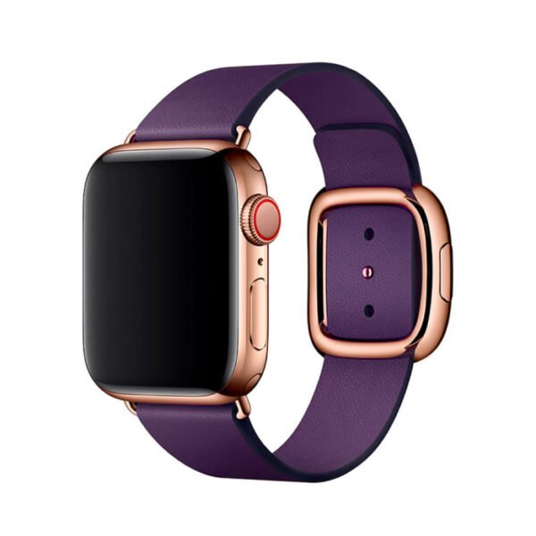 Aubergine Modern Buckle Apple Watch Band